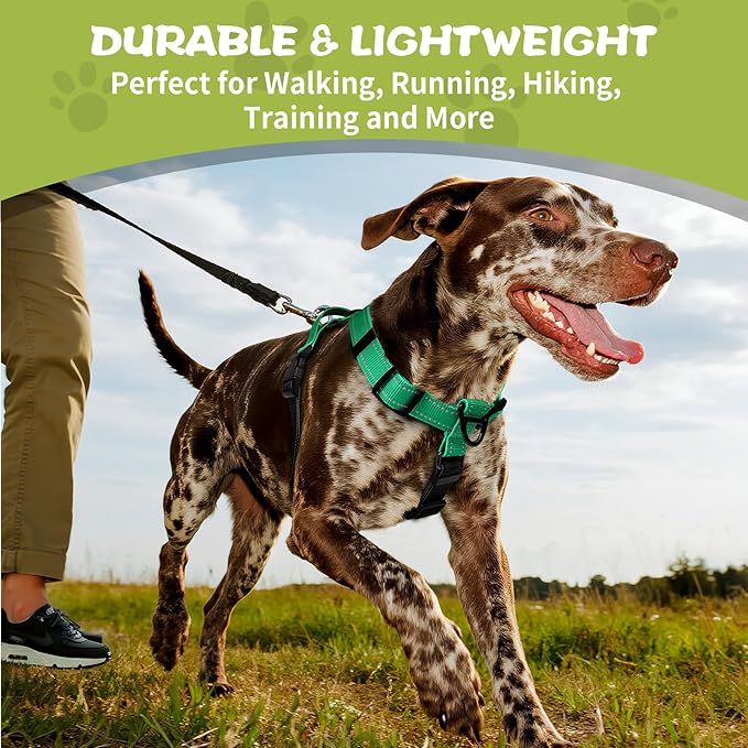 Dog Harness,Adjustable No Pull Dog Harness,Y-Shaped Design,Buckle-Neck Balance Harness with Reflective, Ideal for Dog Training Hiking, Easy Walk Harness,Durable High-Tensile Nylon Aqua Green-L