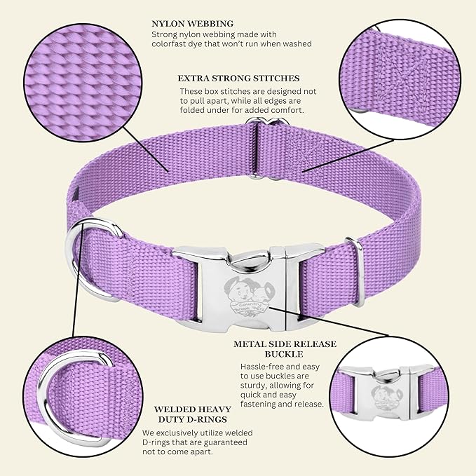 Country Brook Petz - Premium Nylon Dog Collar with Metal Buckle for Small Medium Large Breeds - 10+ Cool Colors (Large, 1 Inch, Lavender)