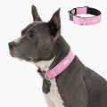 DF Co. Tactical Dog Collar | Comfortable & Secure with Quick Release Clip Buckle and Heavy Duty D-Ring | Soft Padded Neoprene, Chafe Resistant, Night-Time Visibility | Pink, Size L/XL