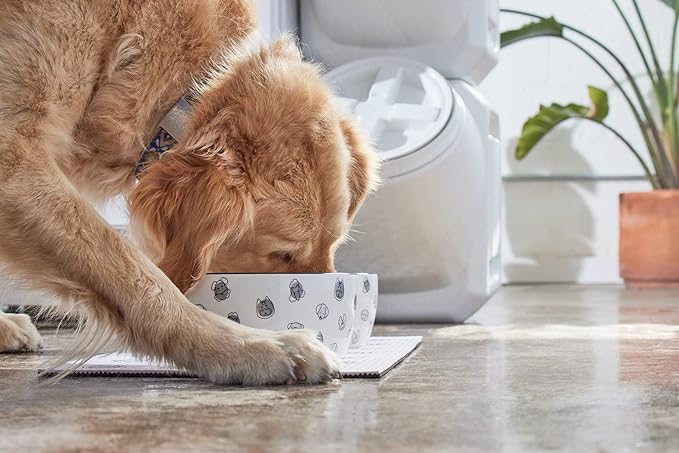 Pearhead Ceramic Dog Bowl Large 9 Cup – Puppy Faces Pattern, Durable Heavyweight Pet Food & Water Bowl, Neutral Modern Design, for Pet Parents, XL