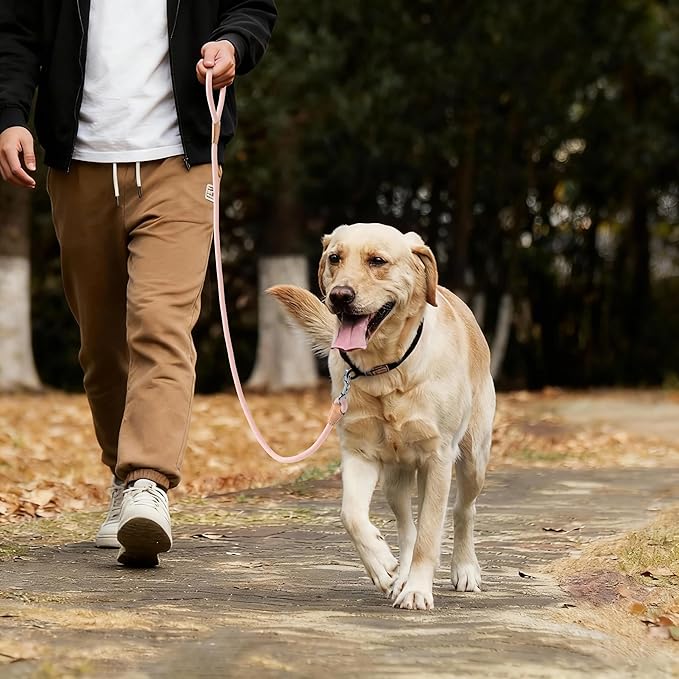 Mile High Life Dog Leash, Rope Leash with Genuine Leather Connection and Heavy Duty Metal Clasp, Great for Small Medium Large Dogs(Pink,72 Inch)