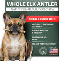 Mountain Valley Elk Antlers for Dogs - 100% Natural & Organic Chew for Aggressive Chewers, No Odor, No Mess, Long Lasting - Wild-Foraged Naturally Shed Antlers in USA - Grade A, Whole Small (3 Pack)