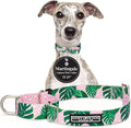 Lucky Love Dog Martingale Dog Collar - Adjustable, No-Slip, Comfortable, Durable, Soft Webbing & Stylish Patterned Collar for Male and Female Dogs Ideal for Training & Walking - Laguna, Medium