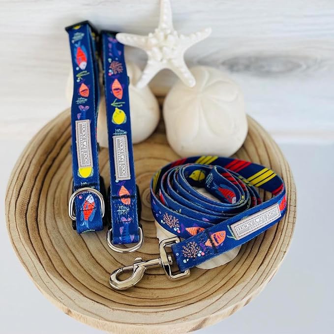 Lucky Love Dog - Easy Click Buckle Dog Collar with Leash Set Combo, Durable & Comfortable for Male & Female Dogs, Pet Collar for Small Dogs, Secure Fit - Mackey Combo, Small