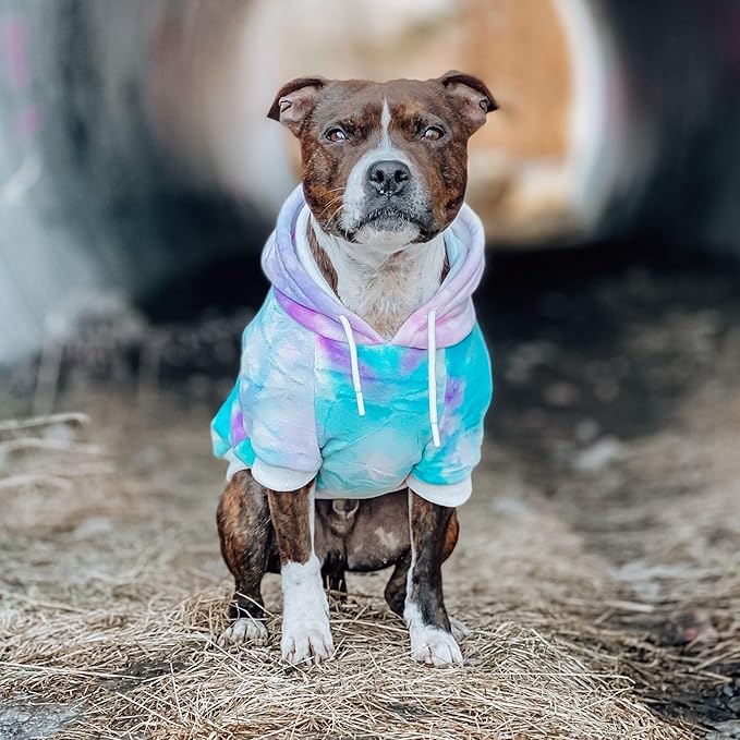 Spark Paws Dog Hoodie – Premium Dog Sweater for Small, Medium, and Large Dogs | Warm Outfits for French Bulldogs, Pitbull, Puppy, Winter Jacket Alternative - 90s Retro Sky Dye - S