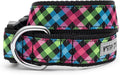 THE WORTHY DOG Collar for Small Dogs, Adjusts 9-15 inches, Durable Nylon Webbing, Quick Release Buckle, Carnival Check Pattern, Multicolored, Small