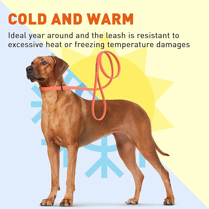 Dogline Biothane Slip Dog Leash - for Small, Medium and Large Dogs - Odor Free Slip Lead, Heavy Duty and Durable Material Kennel Lead - Coral - 5ft L x 5/8in W