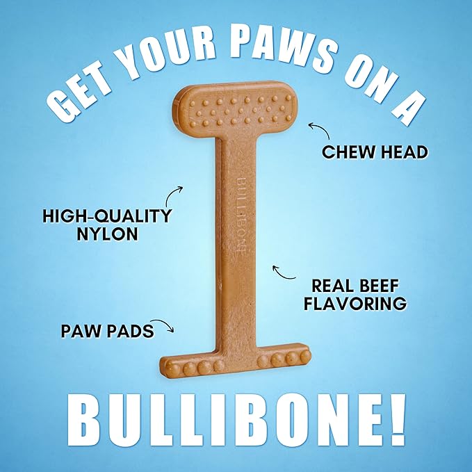 Bullibone Nylon Dog Chew Toy for Aggressive Chewers - Dental Hygiene Bone with Beef Flavor, Durable Tough Chew Toys for Small Dogs, Indestructible Dog Bone - 3 Pack