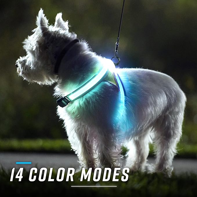 Noxgear LightHound (Large) + High-Visibility Dog Leash – Illuminated and Reflective Harness for Dogs Including Multicolored LED Fiber Optics (USB Rechargeable, Adjustable, Lightweight, Rainproof)