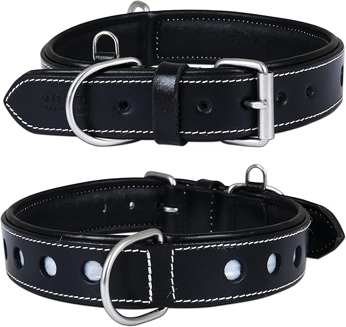 | Genuine Leather Dog Collar | Full Grain, Heavy Duty | Comfortable, Padded, Strong | Best for Pups, Small, Medium, Large & XL Breeds (Small (Fit Neck Size 11.5"-14.5"), Raven)