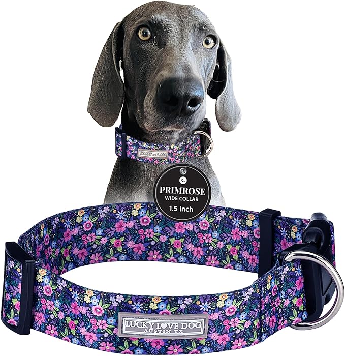 Lucky Love Dog Wide Dog Collar - Adjustable, Durable, Soft Webbing, & Comfortable 1.5 inch Wide Collar for Dogs Male and Female with Strong Buckle - Primrose, X-Large