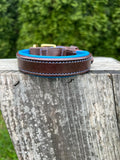 Leaders Leather Dog Collar with Customized Name Plate (Royal Blue/Brown Small (9"-12"))