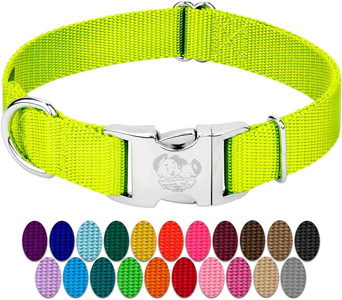 Country Brook Petz - Premium Nylon Dog Collar with Metal Buckle for Small Medium Large Breeds - 10+ Warm Colors (Medium, 3/4 Inch, Hot Yellow)