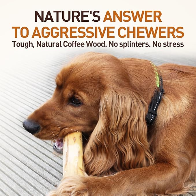 Wildfang® Coffee Wood Dog Chew, XS - Tough Chew Toys for Aggressive Chewers, Dog Teething Toys for Puppies, Training for Chewing Muscles, Coffee Tree Sticks for X-Small Dogs (Under 22 lbs)