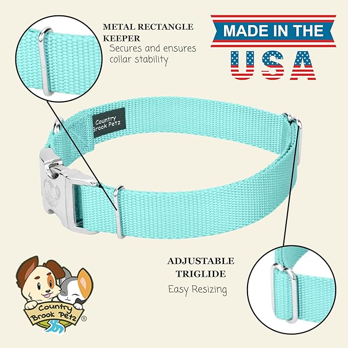 Country Brook Petz - Premium Nylon Dog Collar with Metal Buckle for Small Medium Large Breeds - 10+ Cool Colors (Large, 1 Inch, Light Cyan)