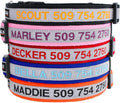GoTags Reflective Dog Collar Personalized, Custom Embroidered Pet Name and Number, Premium Nylon Colorful for Girl and Boy Dogs, Small Medium and Large Adjustable Sizing