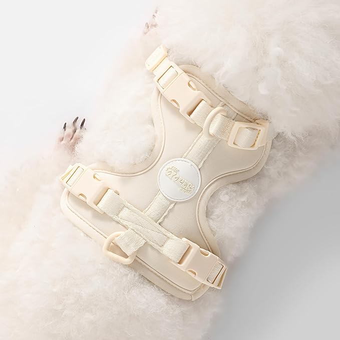 HNS1001L Arlo Small Adjustable Soft Padded No Pull Pet Harness with 3 Buckles and 3 Leash Clips, Bailey