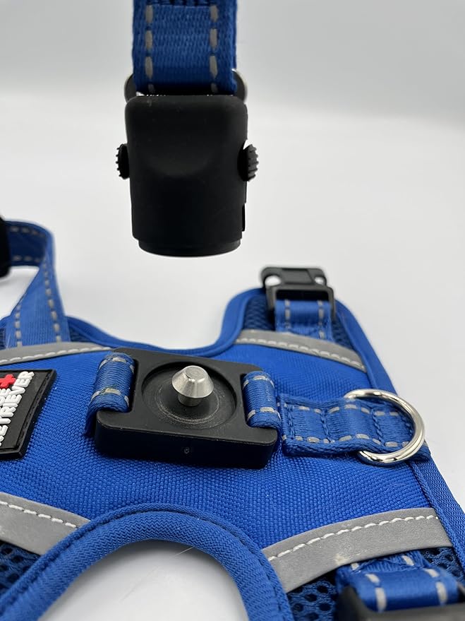 Clickette™ Magnetic Locking Harness and Leash (Blue, Small)