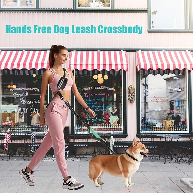 Hands Free Dog Leash Waist & Crossbody for Walking, No Pull Heavy Duty Bungee Double Dog Leash for Two Dogs with Pouch, Padded Handles & Reflective for Large Medium Dogs, Black