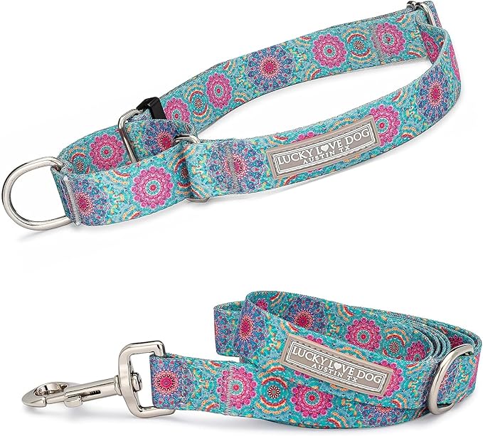 Lucky Love Dog Martingale Dog Collar & Leash - Adjustable, No-Slip, Durable, Comfortable, Soft Webbing, & Stylish Patterned Collar & Leash Set for Male and Female Dogs - Clara Combo, Large