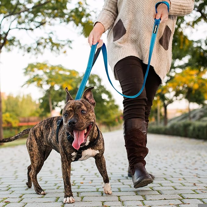 PetiFine 4FT Heavy Duty Dog Leash with Soft Padded Double Handle, Durable Strong Clasp Dog Leashes, Reflective Nylon Walking Lead for Large,Medium,Small Breed Dogs, Blue