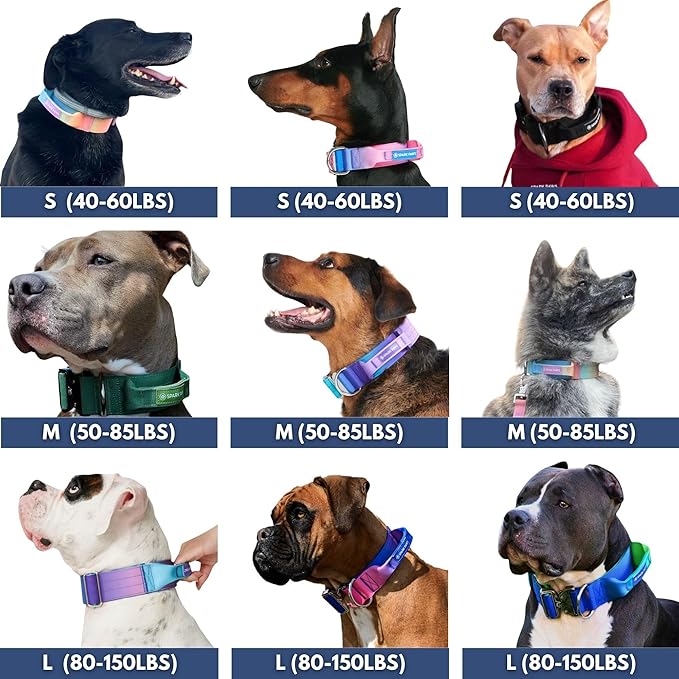 Spark Paws Tactical Dog Collar - Heavy Duty, Premium Quality, Thick and Durable for Large and Medium Dogs - 90's Retro - XS - 1"