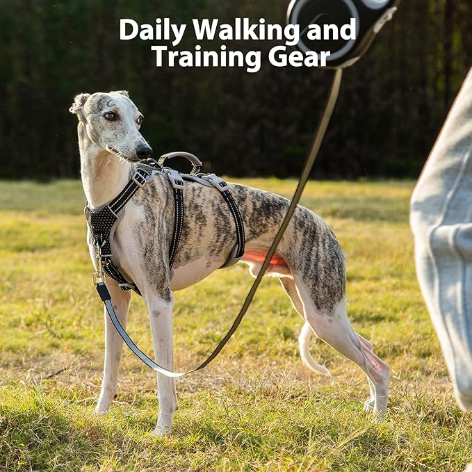 Huntboo Escape Proof Dog Harness, No Pull Reflective Harness with Lift Handle, Adjustable Pet Vest with Front and Back Leash Clips for Small Medium Large Dogs Walking Hiking Training (Black,L)