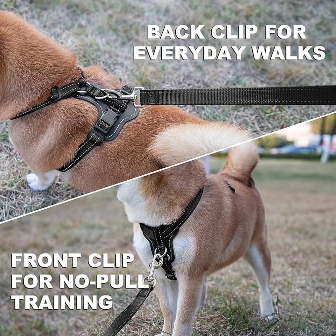 Plutus Pet Adjustable No Pull Dog Harness with Leather Accents, Heavy Duty Reflective Nylon Vest for Training, Hiking, Easy Walk Harness for Small, Medium, Large Dogs (Black, S)