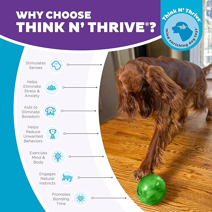 Outward Hound Orbee-Tuff Mazee Interactive Dog Puzzle Toy, Treat Dispensing Slow Feeder Ball, Green, 4.7-Inch