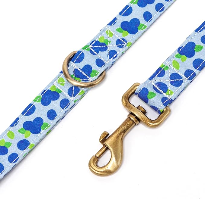 Organic Cotton Dog Leash for Small,Medium and Large Breed,Brass Hardware Pet Leash for Walking,Running and Training 6FT