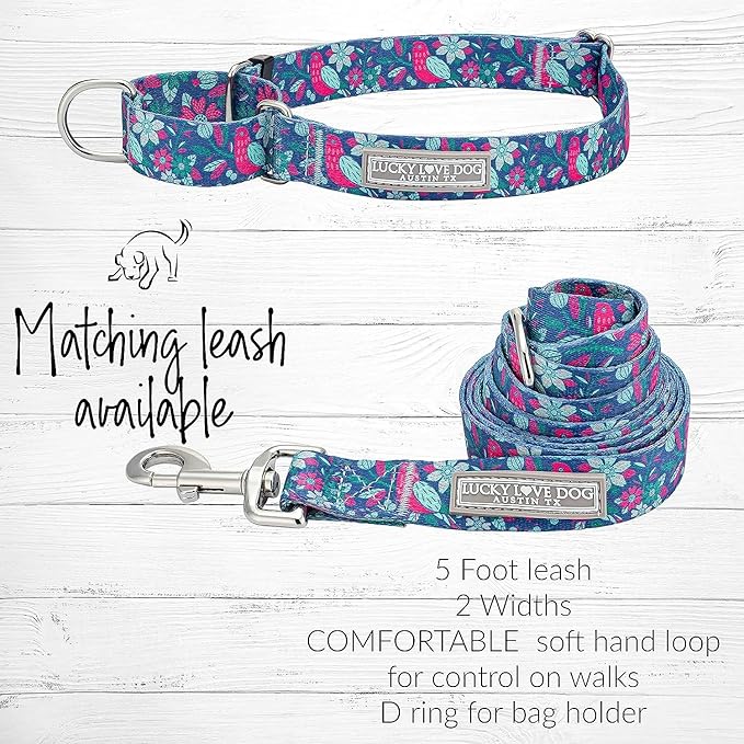 Lucky Love Dog - Easy Click Buckle Dog Collar with Leash Set Combo, Durable & Comfortable for Male & Female Dogs, Pet Collar for Small Dogs, Secure Fit - Carriebelle Combo, Small
