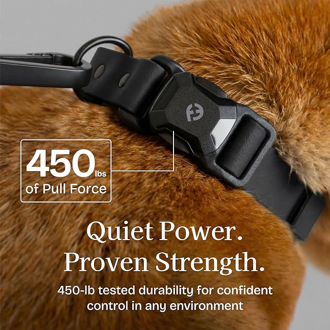 2026 New Edition, Fei & Eve PVC MagEase Dog Collar - Patented Magnetic Buckles | Fur-Safe | 450LB Escape-Proof | Adjustable Fit | Small (Black)