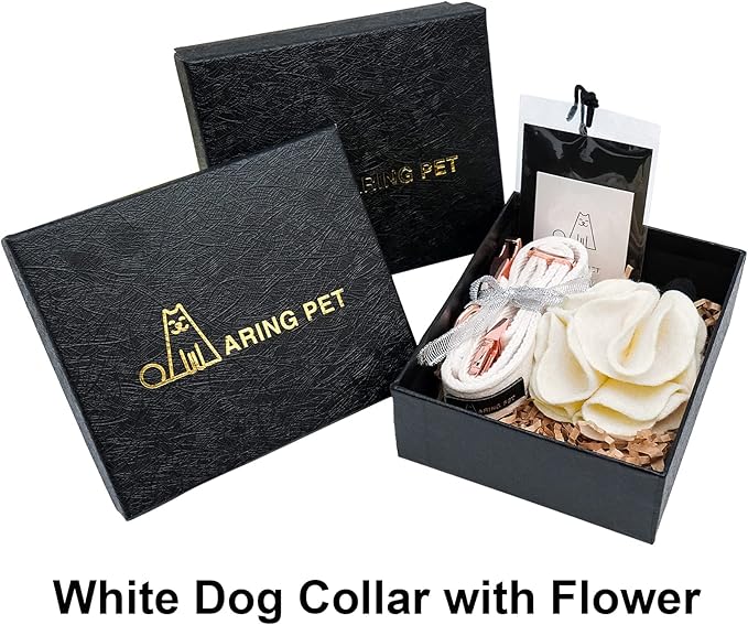 ARING PET Velvet Dog Collars, White Soft Pet Collar with Detachable Felt Flower Metal Buckle for Puppy Small Medium Large Boy Girl Dogs-L