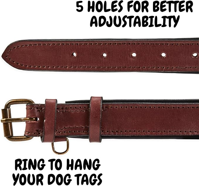 Real Leather Dog Collar Padded Soft Interiors with Premium Vintage Look Handcrafted Heavy Duty with Tag Ring for Small Medium and Large Pets (Medium (1.25" Wide for 13.5" - 17.5" Neck), Oxblood)