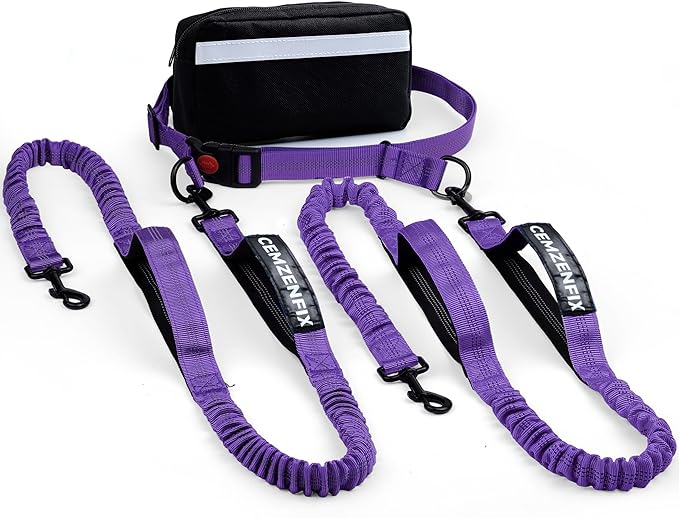 Hands Free Dog Leash for 2 Dogs – Waist Leash for Dog Walking with Dual Bungee, Reflective No Pull Design, Adjustable Belt & Pouch for Running, Hiking, Jogging