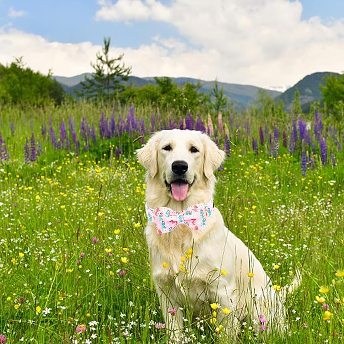 Lionheart glory Dog Bow Collar Dinosaurs Pattern Cute Collars for Large Dogs,Soft Duty Adjustable Dog Collar with Bowtie Spring Summer Puppy Collars Bows Pet Gift