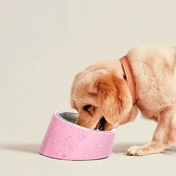 bzyoo 16oz Tilted Dog Bowl for Small Dogs & Cats, 15° Elevated Stainless Steel Pet Feeder, Ergonomic Anti-Vomiting Food Bowl for Frenchie, Pug, Persian Cat, Non-Skid Melamine Stand, Sprinkle (White)