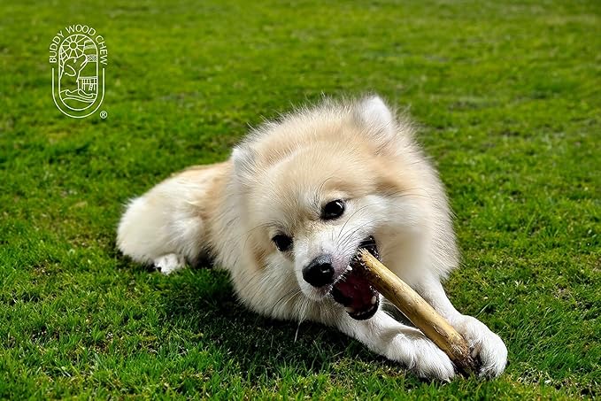 Coffee Wood Dog Chew Stick - 100% Natural Toy Safe, Durable M (Single)