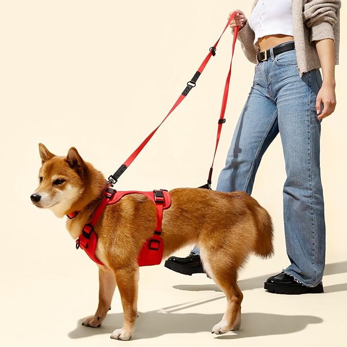 WLK1005M-5SET Luna Medium 8FT Adjustable 6-in-1 Waterproof Hands-Free Leash and Collar with LED Flashlight, Bag Dispenser, and Poop Bag Holder, Shirley