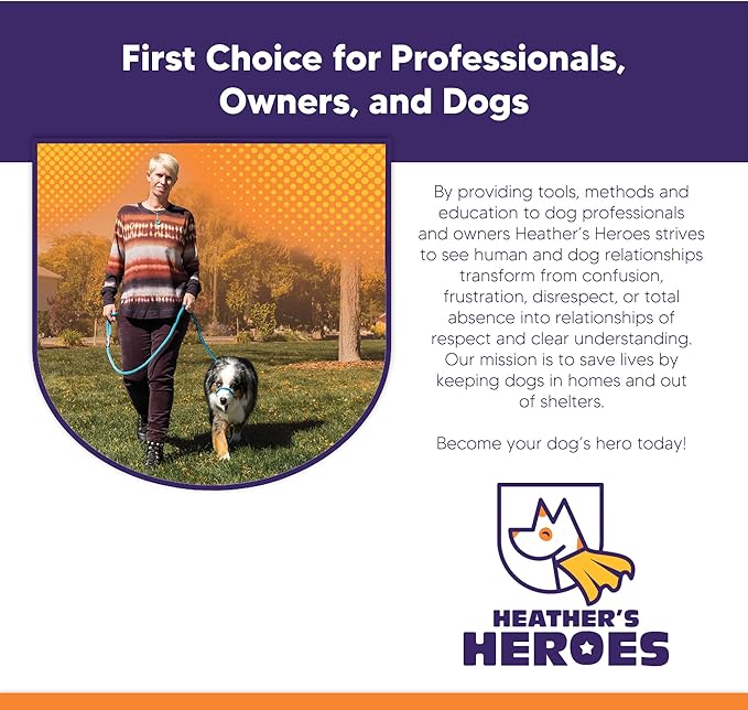 The Sidekick® – Heather's Heroes