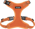 Voyager Step-in Pet Harness - All Weather Mesh, Adjustable Step in Harness for Cats and Dogs by Best Pet Supplies - Orange, L