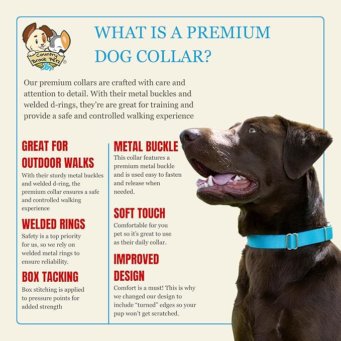Country Brook Petz - Premium Nylon Dog Collar with Metal Buckle for Small Medium Large Breeds - 10+ Cool Colors (Small, 3/4 Inch, Ice Blue)
