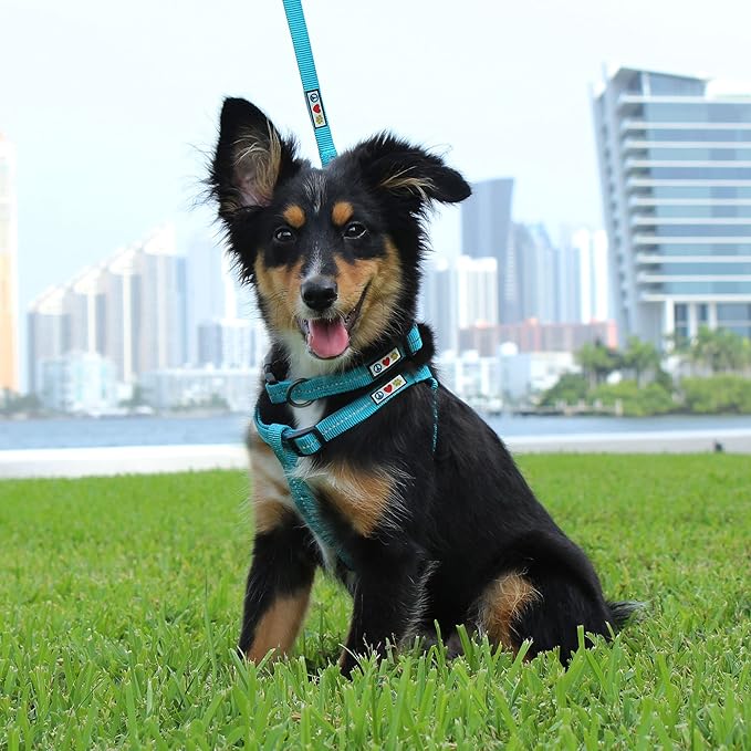 Pawtitas Recycled Reflective Step-in Dog Harness – Adjustable No-Pull Vest for Puppies to Seniors, Safe & Comfortable M Blue