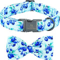 Lionheart glory Dog Bow Collar Blueberries Print Collars for Small Dogs, Spring Summer Cute Duty Adjustable Dog Collar with Bowtie Pet Collars Bows Pet Gift