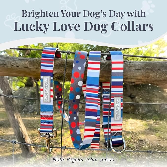Lucky Love Dog Martingale Dog Collar & Leash - Adjustable, No-Slip, Durable, Comfortable, Soft Webbing, & Stylish Patterned Collar & Leash Set for Male and Female Dogs - Linus Combo, Large