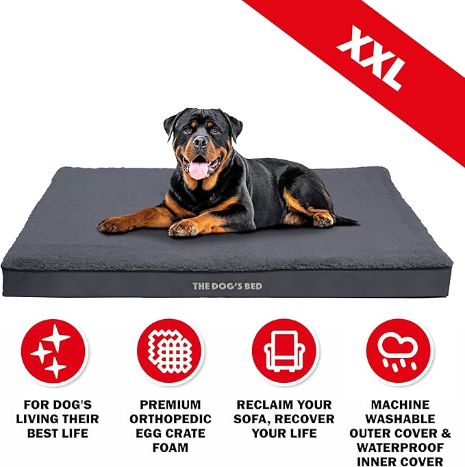 The Dog’s Bed Orthopedic Standard Foam Dog Bed Mattress, Plush Fabric, Grey, XXL