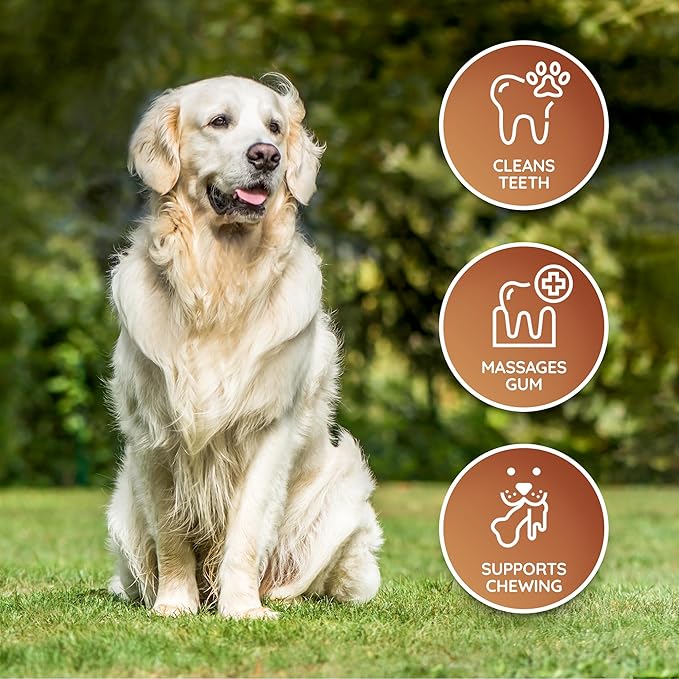 Wildfang® Leather Dog Toy, Large – Soft Dog Chew Toys for Gentle Chewers, Puppies, Senior or Older Dogs with Sensitive Teeth – Non-Toxic, Stuffless, 5mm Leather Bone for Dogs Over 33 lbs, Pack of 1