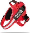 PawPawify Custom No Pull Dog Harness with Name and Phone Number, Heavy Duty Personalized Pet Vest to Prevent Tugging, Pulling, or Choking, Training and Walking (New Red, XS (5-9LBS))