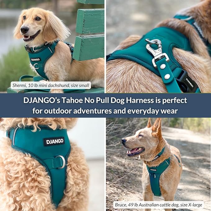DJANGO Tahoe No Pull Dog Harness – Escape-Proof Dog Harness for Small & Medium with Front & Back Clips for Everyday Use – Adjustable, Padded, Reflective, Secure Fit, Easy On/Off – Dark Teal, Medium