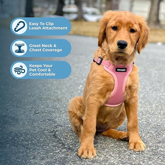 Best Pet Supplies Voyager Adjustable Step-in Flex Breathable Mesh Dog Harness for Small Medium Large Dogs Leash Set (Pink), L